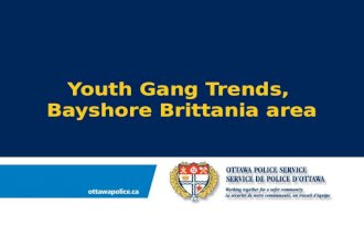 Youth Gang Trends,  Bayshore Brittania area