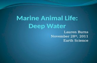 Marine Animal Life: Deep Water