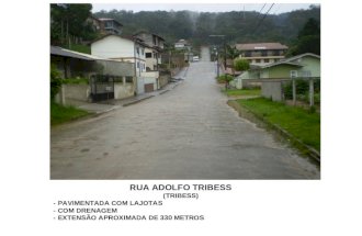 RUA ADOLFO TRIBESS (TRIBESS) - PAVIMENTADA COM LAJOTAS - COM DRENAGEM