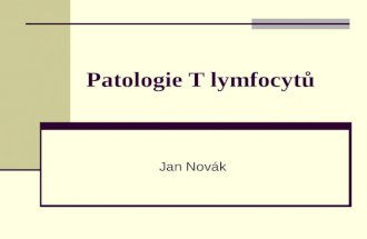 Patologie T lymfocytů