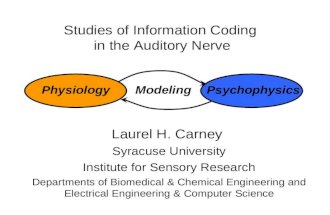 Studies of Information Coding  in the Auditory Nerve
