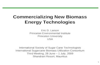 Commercializing New Biomass Energy Technologies
