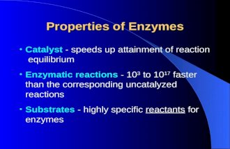 Properties of Enzymes