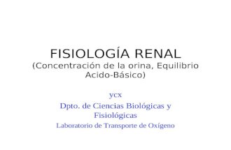 FISIOLOGÍA RENAL (Concentración de la orina, Equilibrio Acido-Básico)