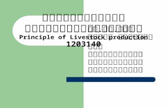 การผลิตสัตว์เศรษฐกิจเบื้องต้น Principle of Livestock production 1203140
