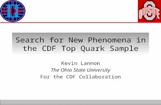 Search for New Phenomena in the CDF Top Quark Sample