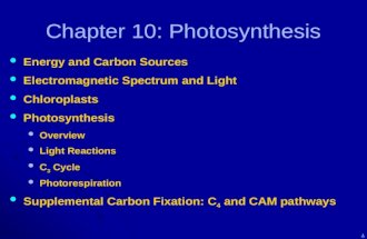 Chapter 10: Photosynthesis