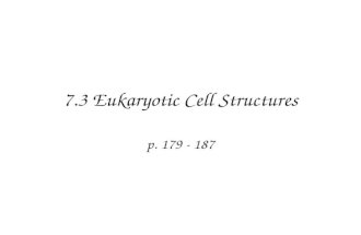 7.3 Eukaryotic Cell Structures