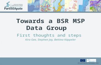 Towards  a BSR MSP Data Group