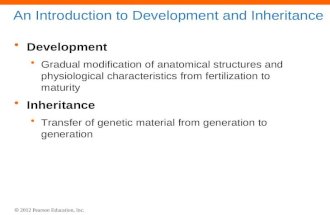 An Introduction to Development and Inheritance