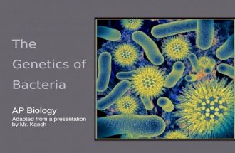 The Genetics of Bacteria