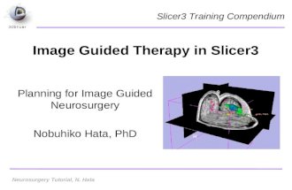 Image Guided Therapy in Slicer3