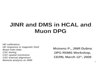 JINR and DMS in HCAL and Muon DPG
