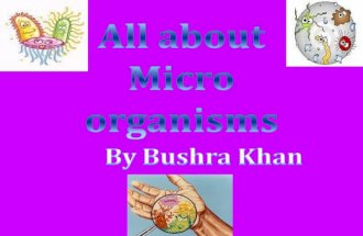 All about Micro organisms