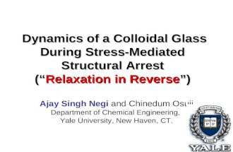 Ajay Singh Negi  and Chinedum Osuji Department of Chemical Engineering,