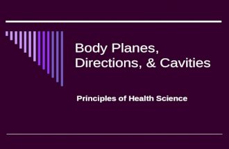 Body Planes, Directions, & Cavities