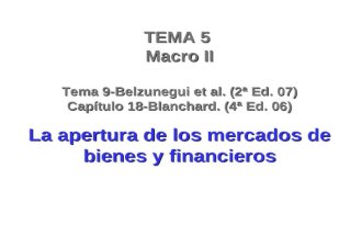 TEMA 5  Macro II Tema 9-Belzunegui et al. (2ª Ed. 07) Capítulo 18-Blanchard. (4ª Ed. 06)