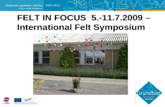 FELT IN FOCUS  5.-11.7.2009 – International Felt Symposium
