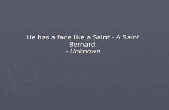 He has a face like a Saint - A Saint Bernard. -  Unknown