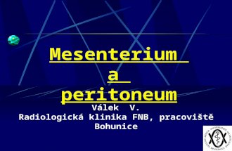 Mesenterium a  peritoneum