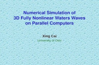 Numerical Simulation of 3D Fully Nonlinear Waters Waves on Parallel Computers