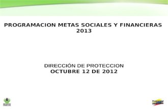 PROGRAMACION METAS SOCIALES Y FINANCIERAS  2013 dirección de PROTECCION Octubre 12 de 2012