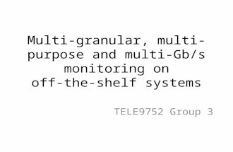 Multi-granular, multi-purpose and multi-Gb/s monitoring on off-the-shelf systems
