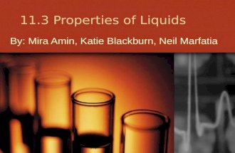 11.3 Properties of Liquids
