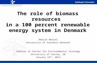 The role of biomass resources  in a 100 percent renewable energy system in Denmark