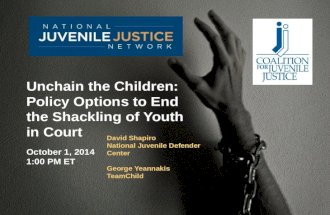 David Shapiro National Juvenile Defender  Center George  Yeannakis TeamChild