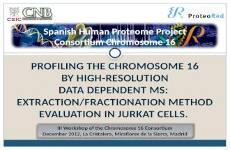 Spanish Human Proteome  Project Consortium Chromosome  16