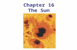 Chapter 16 The Sun