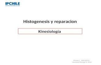Histogenesis y reparacion