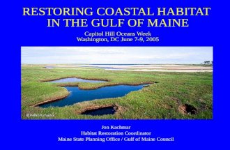 Jon Kachmar Habitat Restoration Coordinator Maine State Planning Office / Gulf of Maine Council