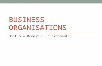 Business Organisations
