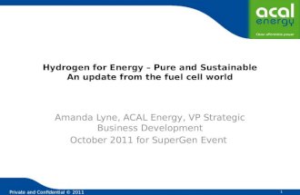 Hydrogen for Energy – Pure and Sustainable An update from the fuel cell world