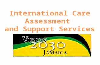 International Care Assessment  and Support Services (ICASS)