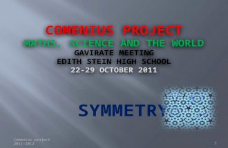 COMENIUS PROJECT MATHS, SCIENCE AND THE WORLD GAVIRATE  MEETING EDITH  STEIN HIGH SCHOOL 22-29  OCTOBer 2011