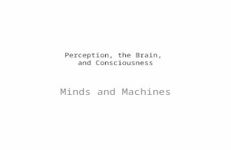 Perception, the Brain,  and Consciousness