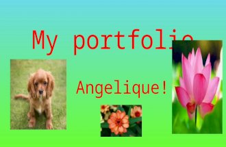 My portfolio