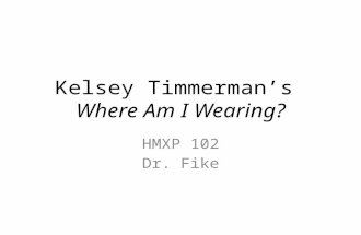 Kelsey Timmerman’s  Where Am I Wearing?
