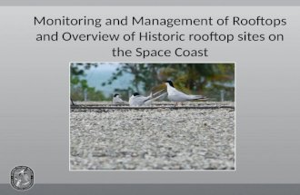 Monitoring and Management of Rooftops and Overview of Historic rooftop sites on the Space Coast