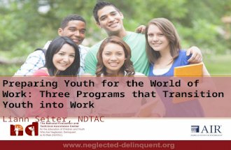 Preparing Youth for the World of Work: Three  Programs  that  Transition  Y outh into Work Liann Seiter,  NDTAC