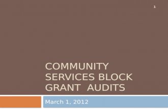 Community Services Block GrantAudits