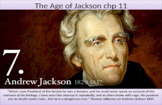 The Age of Jackson chp 11