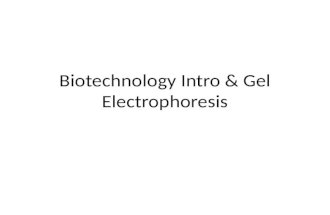 Biotechnology Intro & Gel Electrophoresis