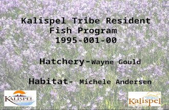 Kalispel Tribe Resident Fish Program  1995-001-00 Hatchery - Wayne Gould Habitat-  Michele Andersen