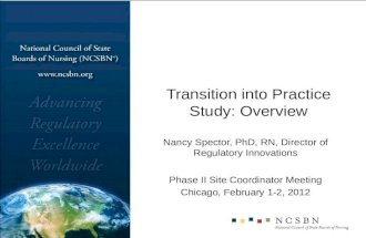 Transition into Practice Study: Overview