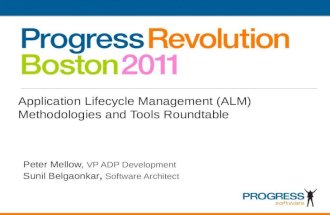 Application Lifecycle Management (ALM) Methodologies and Tools Roundtable