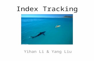 Index Tracking